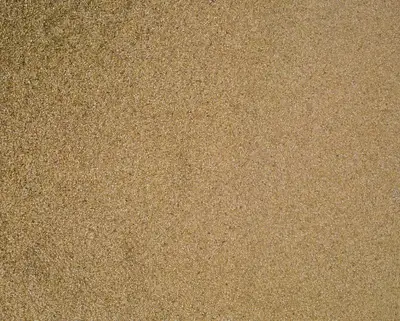 Gros plan d’une matière organique en grains fins, de couleur blonde